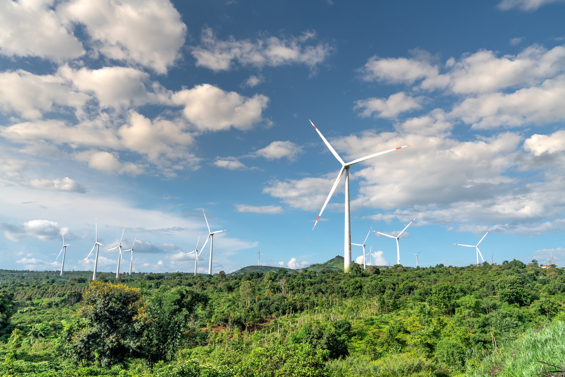 Młodzi Polacy jednogłośnie: przyszłość to odnawialne źródła energii! – analiza badania
