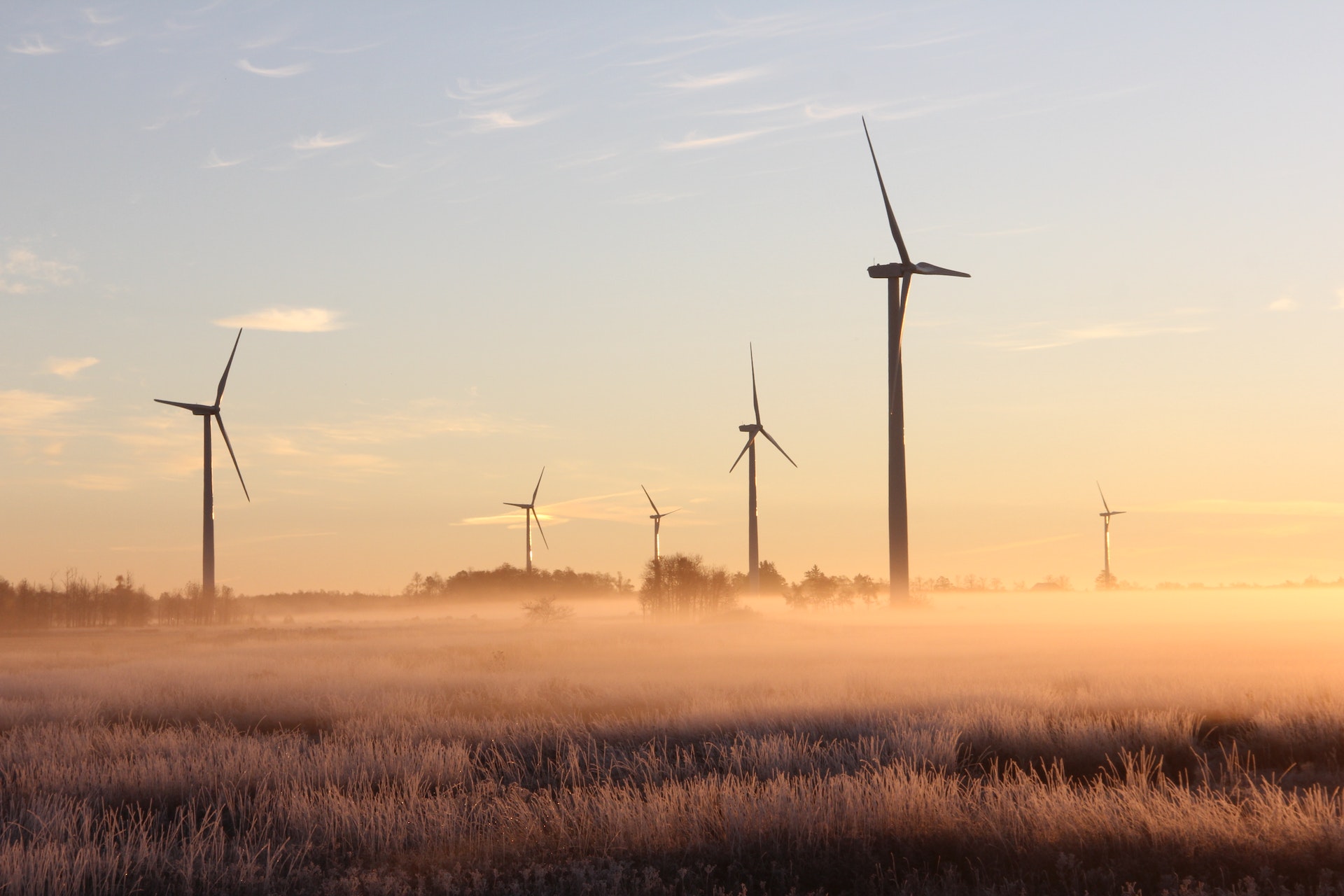 Rekordowa produkcja energii z wiatru oraz wsparcie słońca. Odnawialne źródła energii (OZE) odpowiadały za połowę zapotrzebowania kraju na energię.